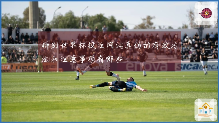 辨别世界杯投注网站真伪的有效方法和注意事项有哪些