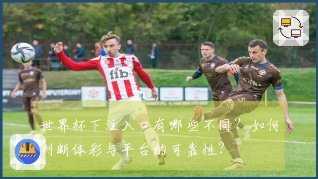 世界杯下注入口有哪些不同？如何判断体彩与平台的可靠性？