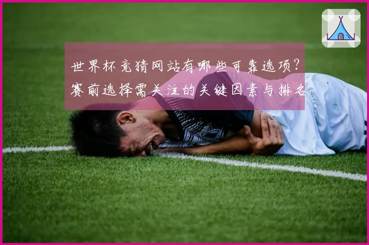 世界杯竞猜网站有哪些可靠选项？赛前选择需关注的关键因素与排名对比