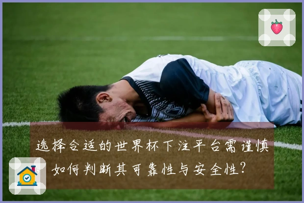选择合适的世界杯下注平台需谨慎，如何判断其可靠性与安全性？
