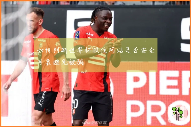 如何判断世界杯投注网站是否安全可靠避免被骗
