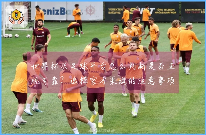 世界杯买足球平台怎么判断是否正规可靠？选择官方渠道的注意事项