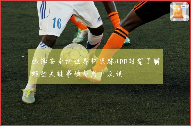 选择安全的世界杯买球app时需了解哪些关键事项与用户反馈