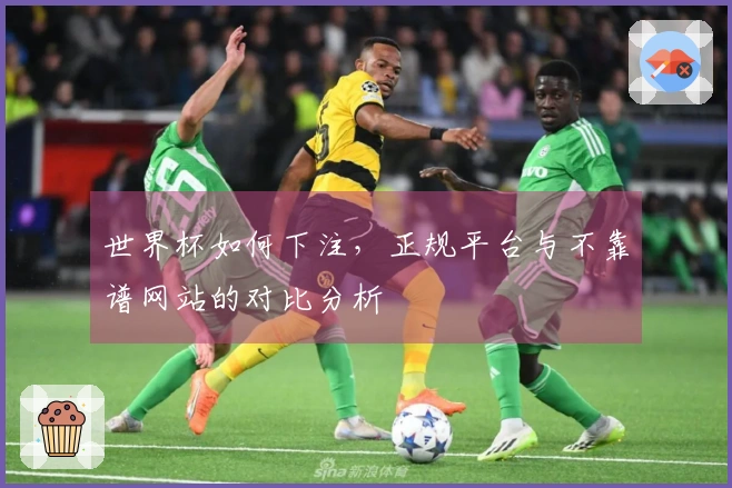 世界杯如何下注，正规平台与不靠谱网站的对比分析