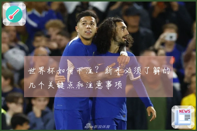 世界杯如何下注?新手必须了解的几个关键点和注意事项