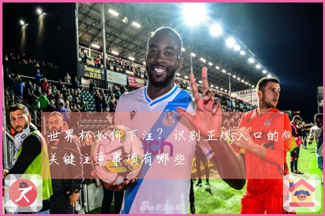 世界杯如何下注？识别正规入口的关键注意事项有哪些