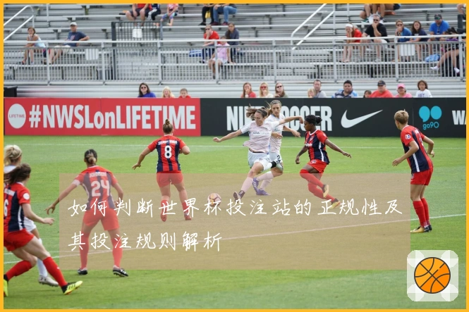 如何判断世界杯投注站的正规性及其投注规则解析