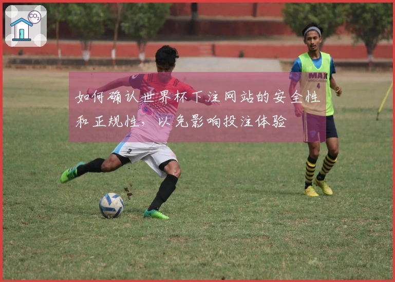 如何确认世界杯下注网站的安全性和正规性，以免影响投注体验