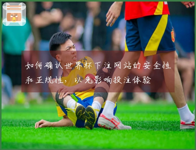 如何确认世界杯下注网站的安全性和正规性，以免影响投注体验