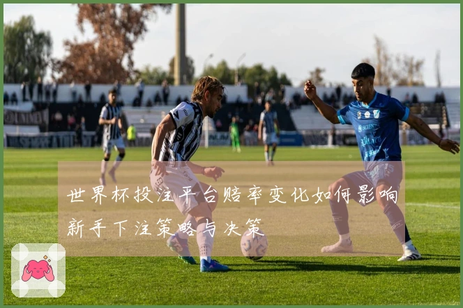世界杯投注平台赔率变化如何影响新手下注策略与决策