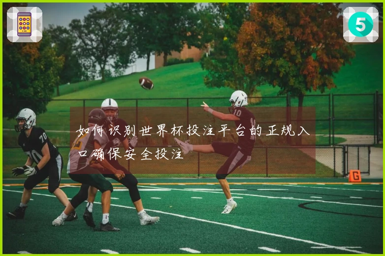 如何识别世界杯投注平台的正规入口确保安全投注