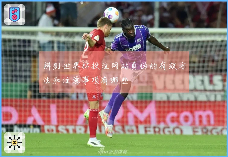 辨别世界杯投注网站真伪的有效方法和注意事项有哪些