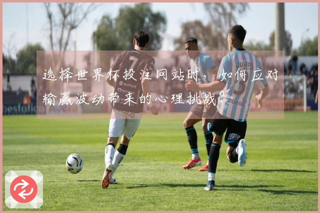 选择世界杯投注网站时，如何应对输赢波动带来的心理挑战？